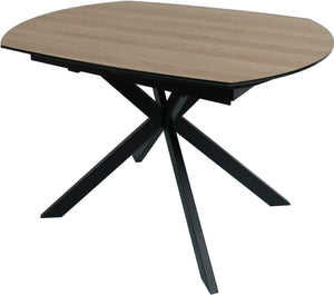 Delta Motion Dining Table