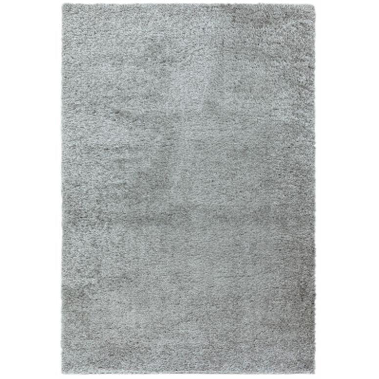 Payton Silver Rug